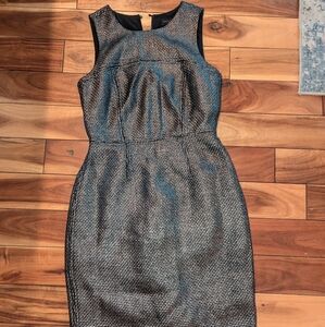 Banana Republic Black and Silver Midi Dress